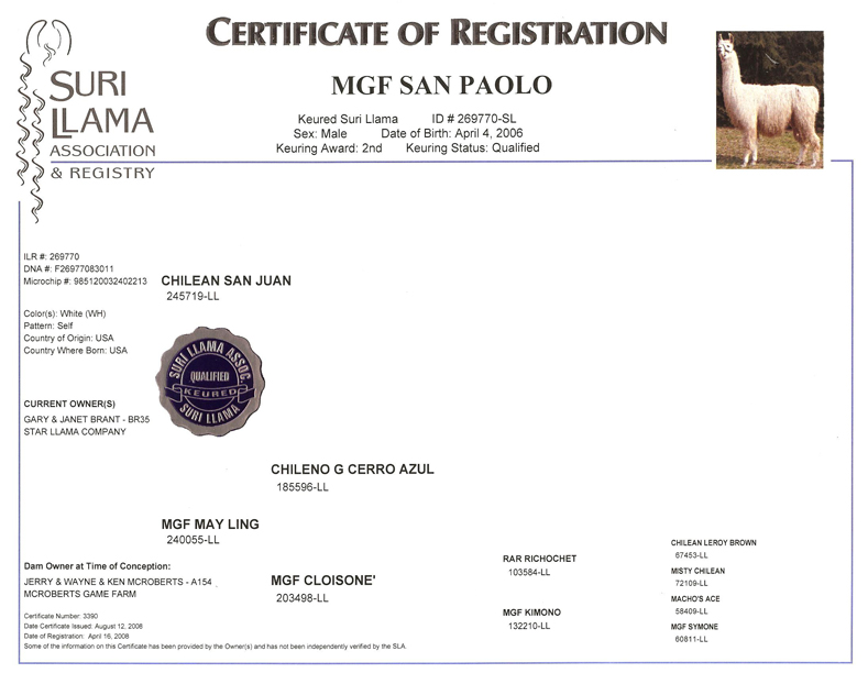 San Paolo SLA certificate